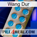 Hard Wang new09